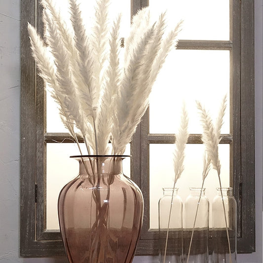 Dekor Reed dried flower home decoration