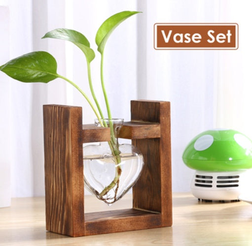 Decorative items- Bonsai can be used in a variety of ways, plants, stationery, glass