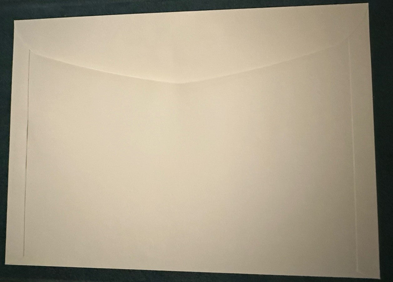 Swiss Crypto Stamp "CHLI 2.0" Ricardo.ch Auktion ab 1.- CHF