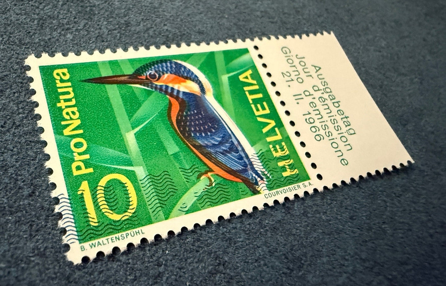 Eisvogel mit Schneepelz, breite Verschiebung (Versteigerung auf Ricardo ab 1 CHF)