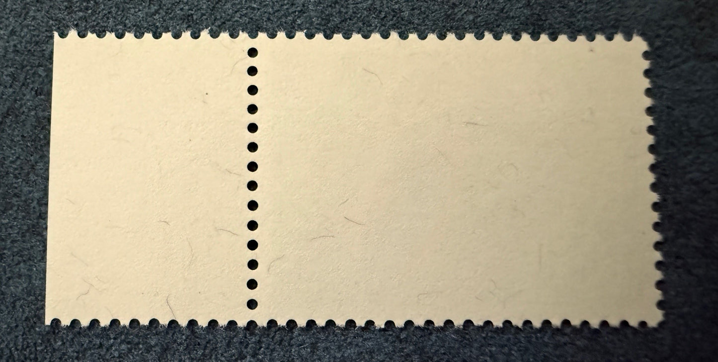 Eisvogel mit Schneepelz, breite Verschiebung (Versteigerung auf Ricardo ab 1 CHF)